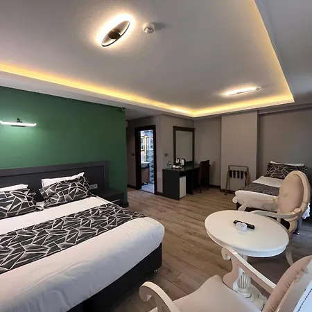 Grand Wonne 酒店 安卡拉